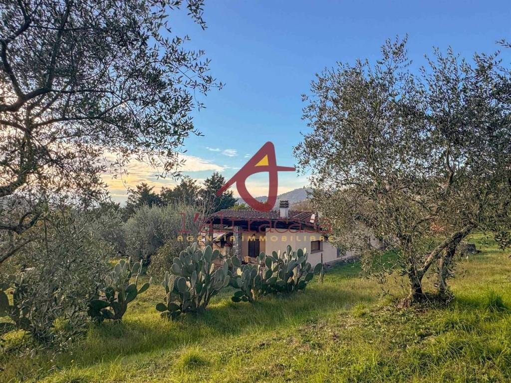 Rustico / casale a Monsummano terme - Foto 3