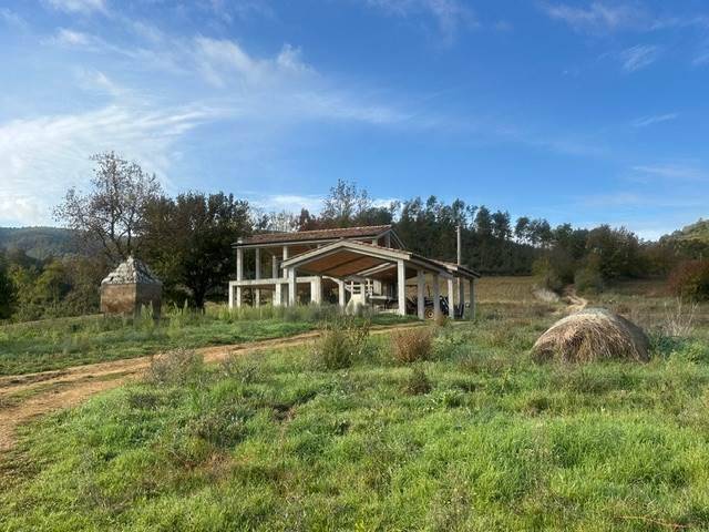 Rustico / casale a Pitigliano - Foto 3