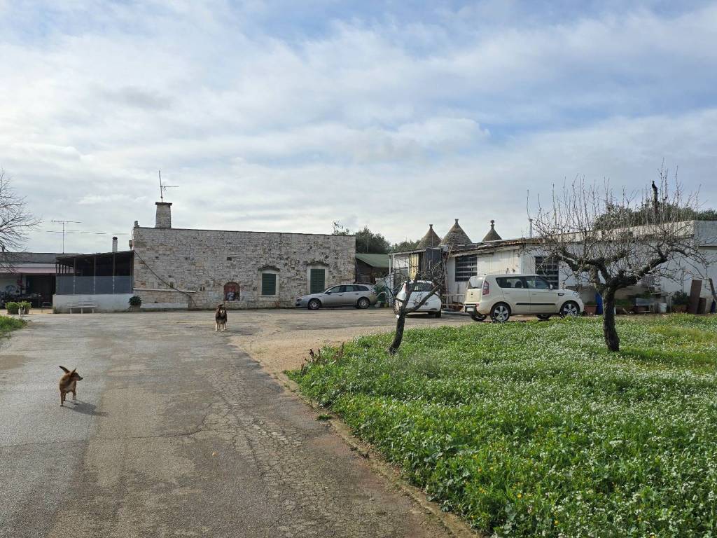 Rustico / casale a Conversano - Foto 2