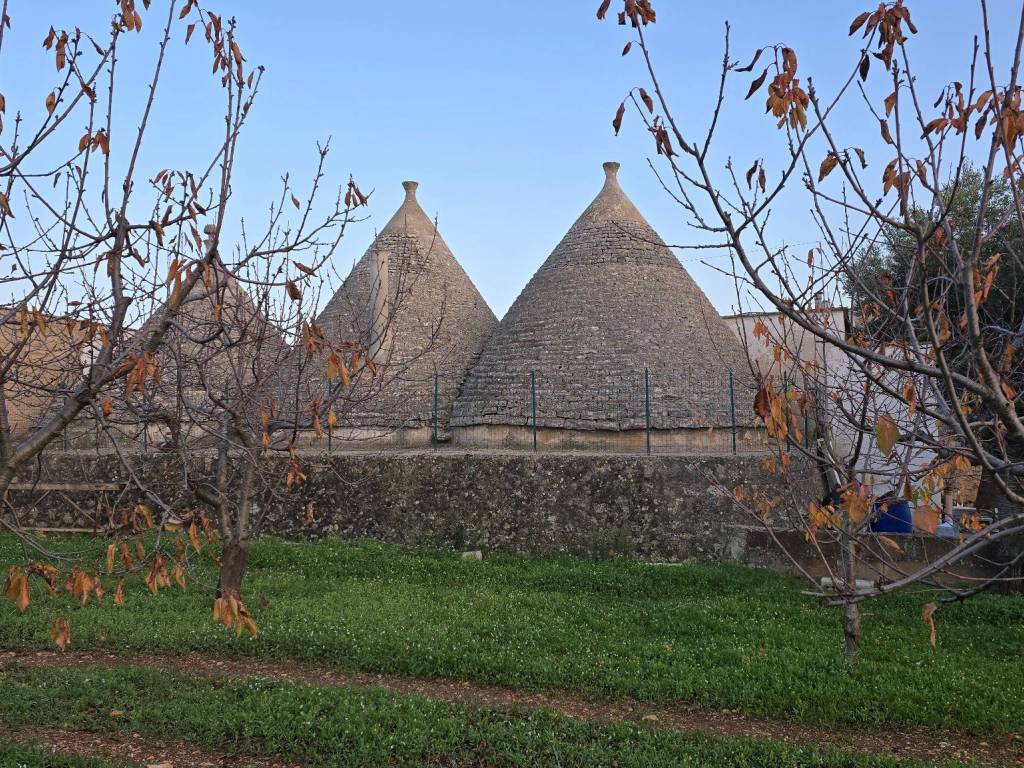 Rustico / casale a Conversano - Foto 4