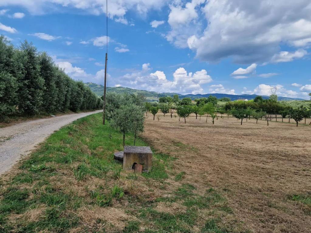 Terreno a Larciano in Via Martiri Del Padule, 361 A - Foto 2