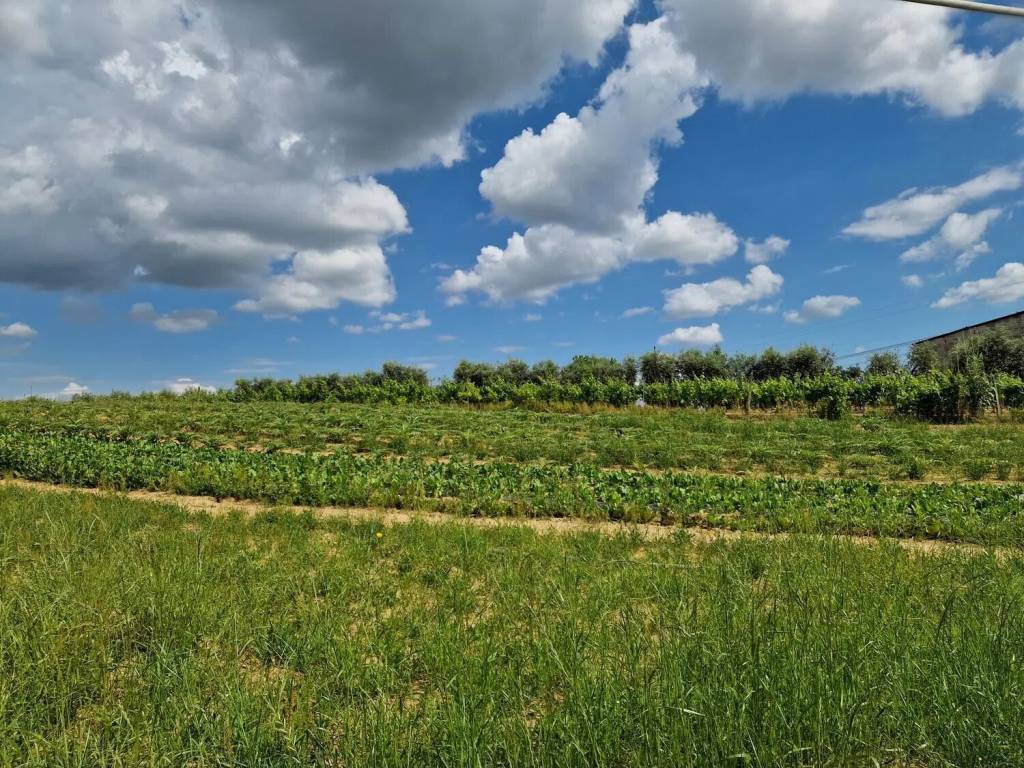 Rustico / casale a Larciano in Via Bartolini, 1090 - Foto 2