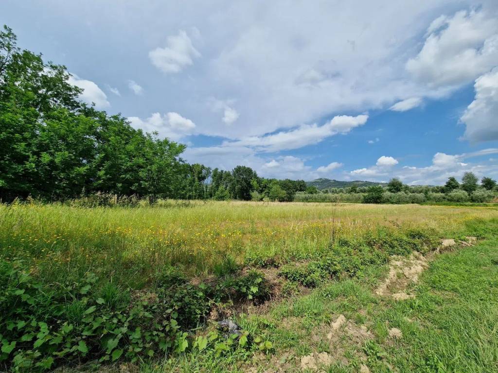 Rustico / casale a Larciano in Via Bartolini, 1090 - Foto 3