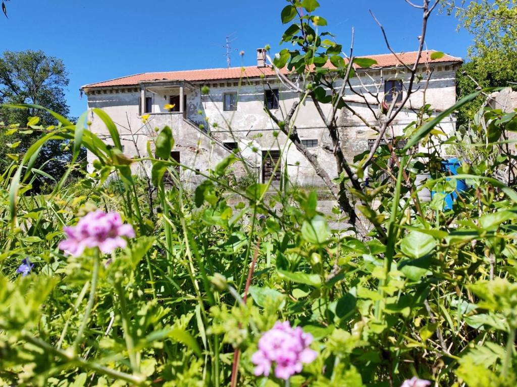 Rustico / casale a Polverigi - Foto 3