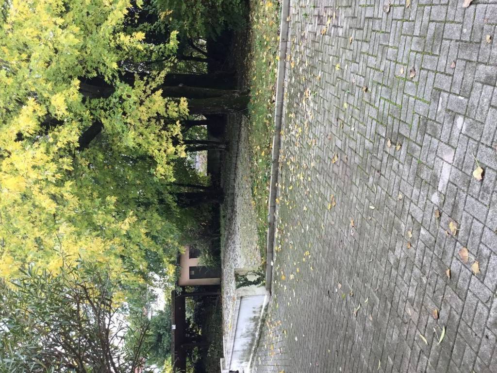 Villa a Treviso in Via Santa Bona Nuova - Foto 5