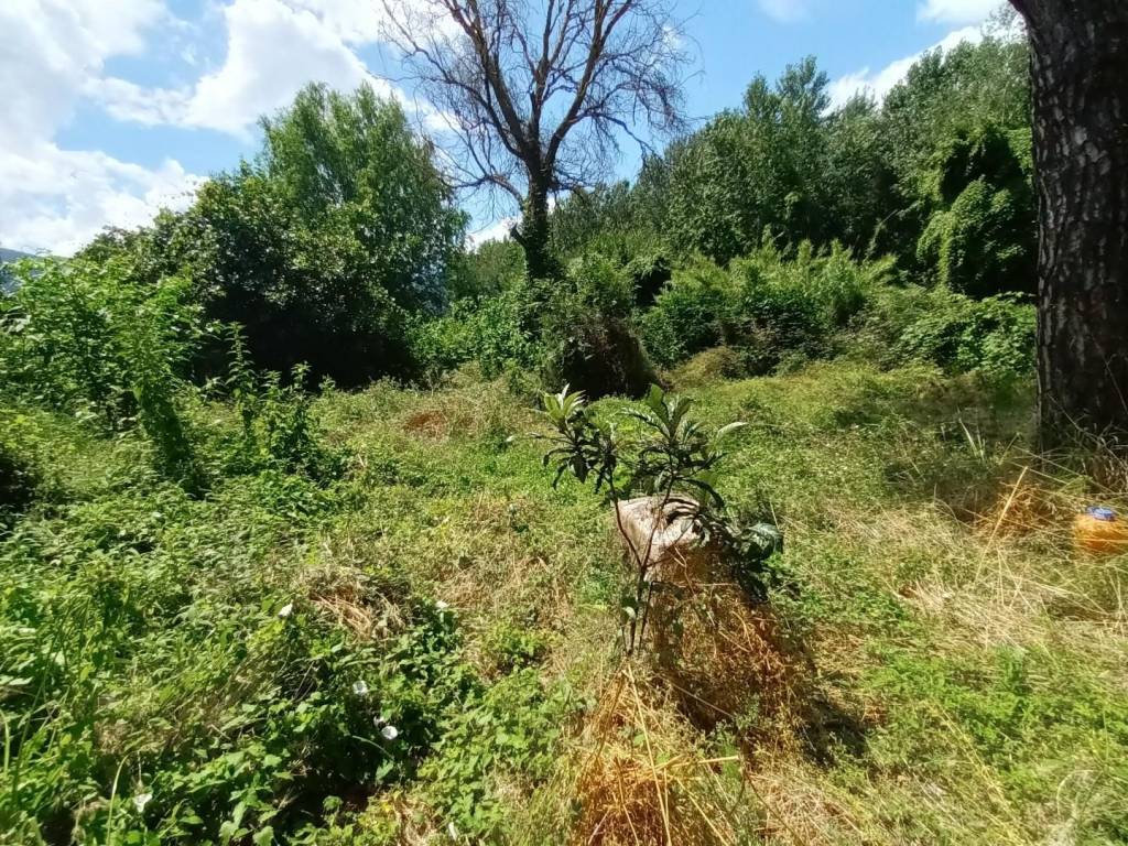 Rustico / casale a Lucca in Pontetetto, - Foto 4