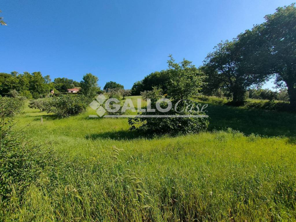 Terreno a Rende in S.S. 107 - C.da Cutura - Foto 3