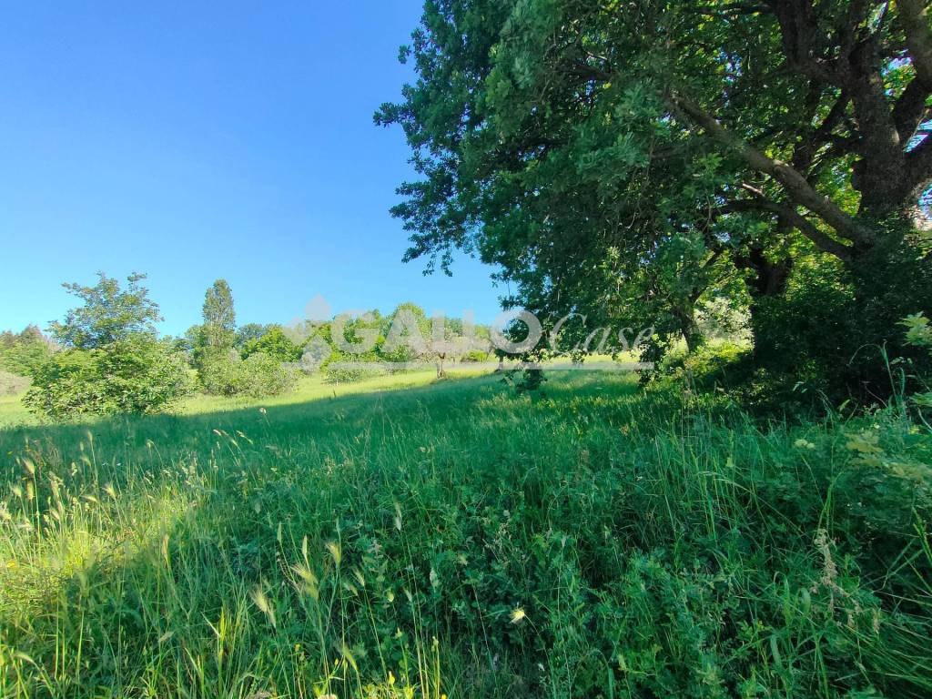 Terreno a Rende in S.S. 107 - C.da Cutura - Foto 4