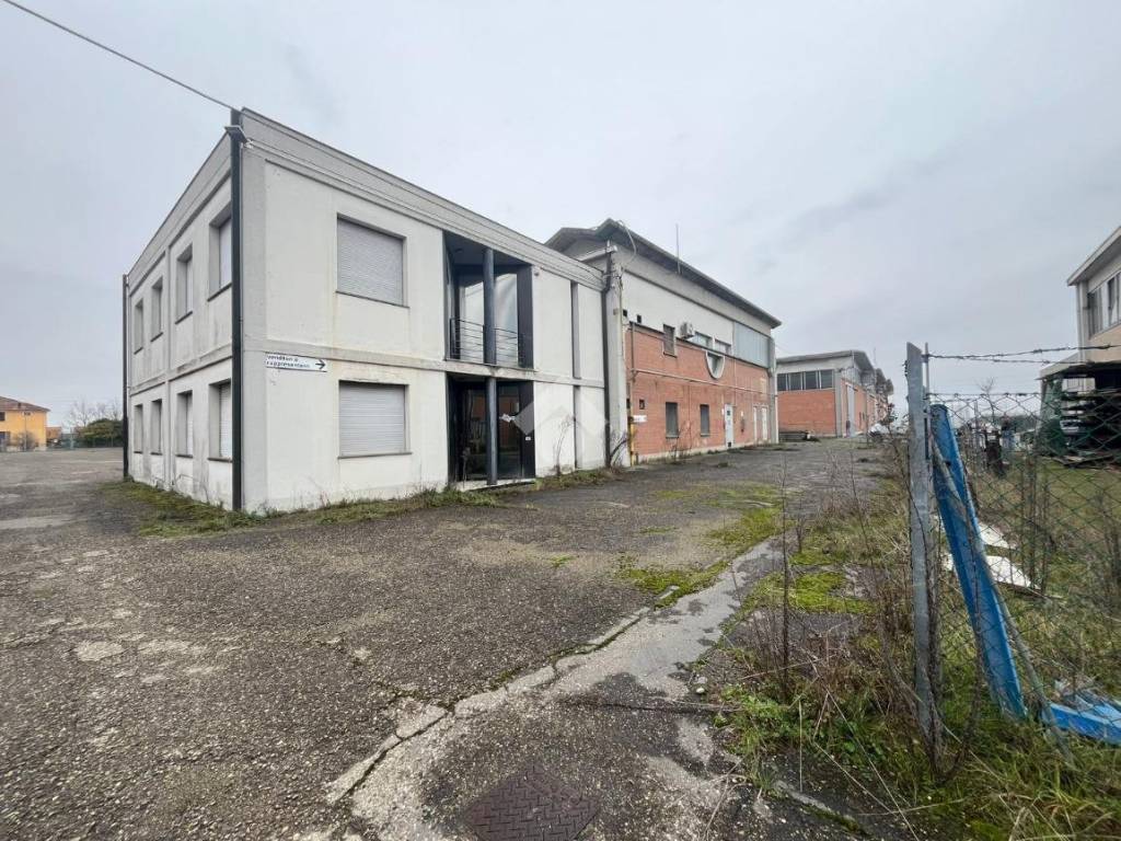 Immobile a Torrile in Via Micheli, 7 - Foto 2