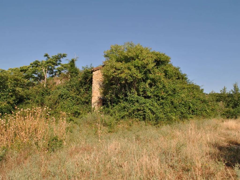 Terreno a Gubbio in Strada Provinciale 206 - Foto 2