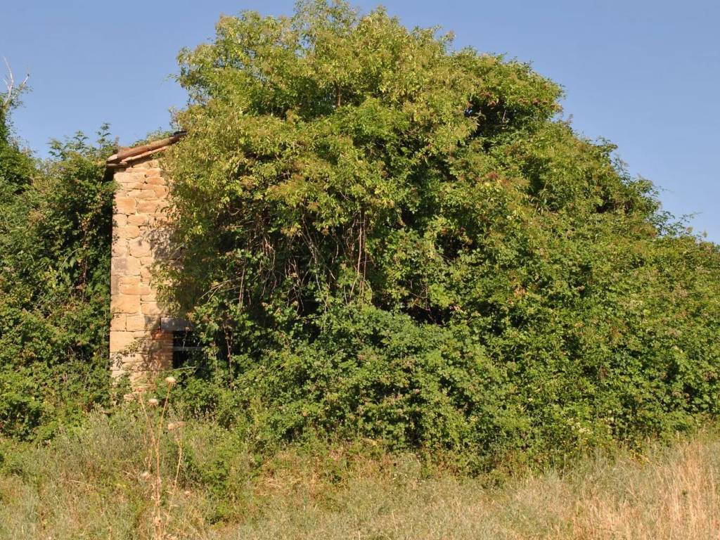 Terreno a Gubbio in Strada Provinciale 206 - Foto 3