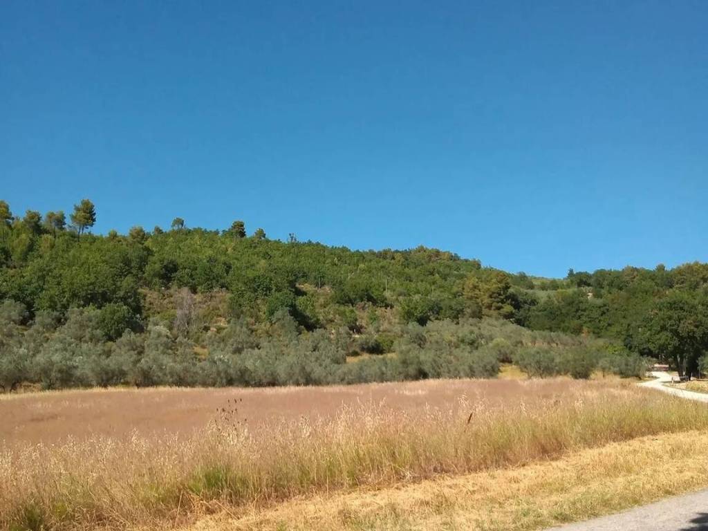 Terreno a Spello in Via Chiona No Number - Foto 2