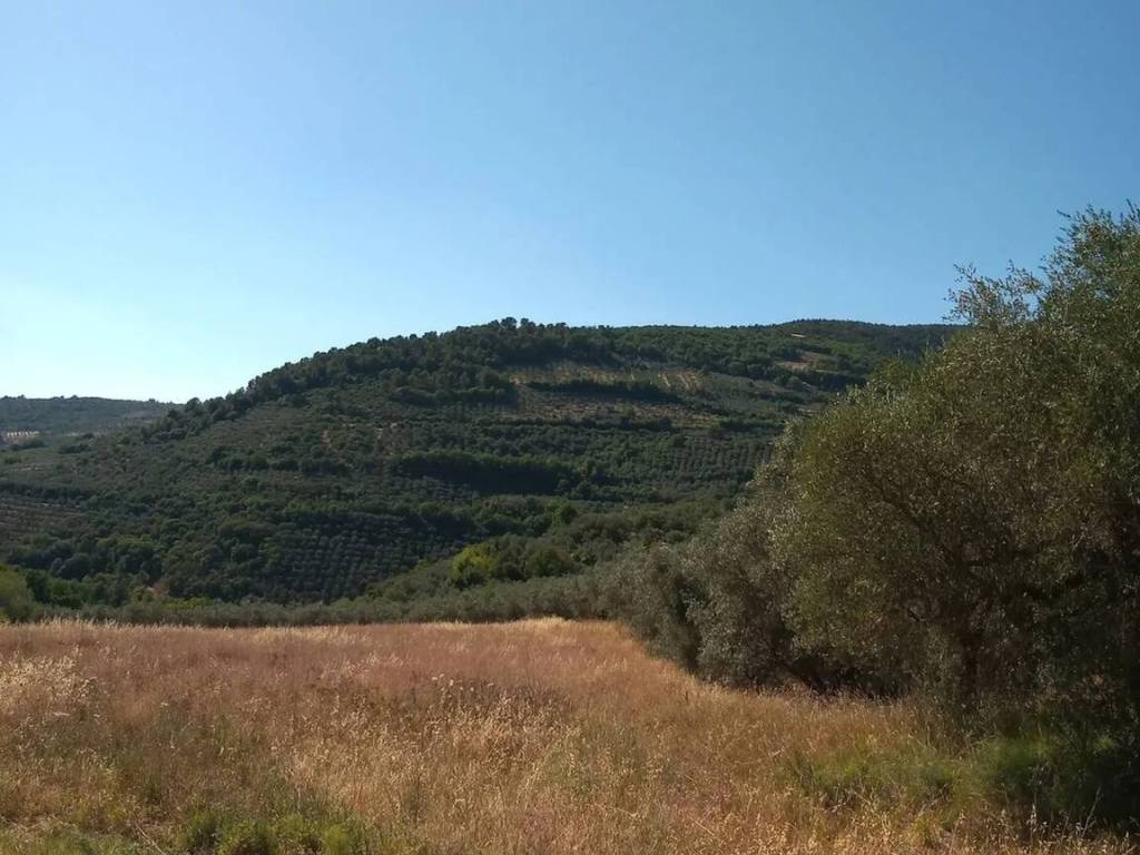 Terreno a Spello in Via Chiona No Number - Foto 3