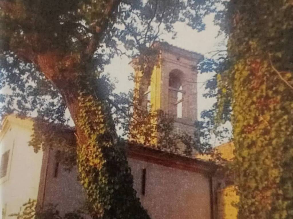 Villa a Torgiano - Foto 5