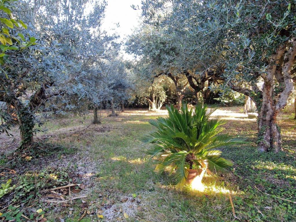 Rustico / casale a Monte porzio catone in Strada Provinciale Frascati Colonna - Foto 4