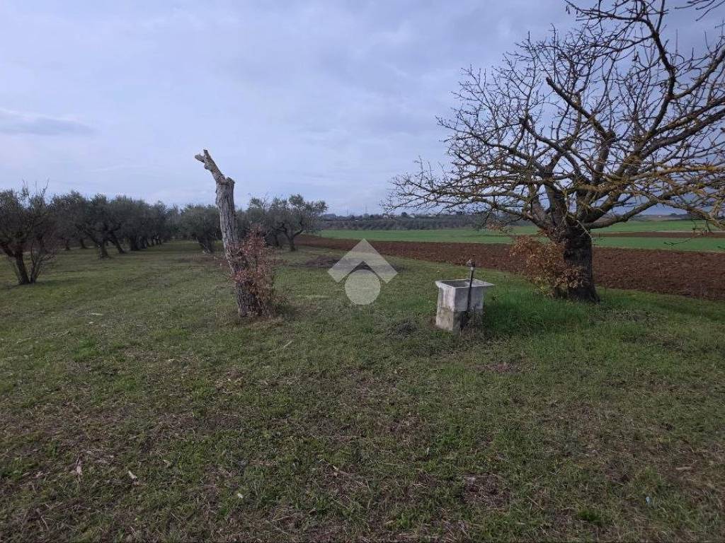 Terreno a Spoltore in Via Monte Cervino - Foto 3