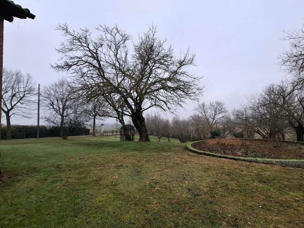 Rustico / casale a Vigolzone - Foto 4