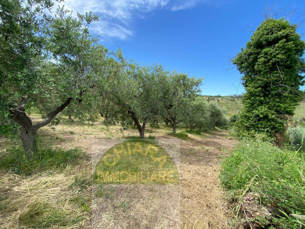 Terreno a Cupello in Contrada Strane - Foto 2