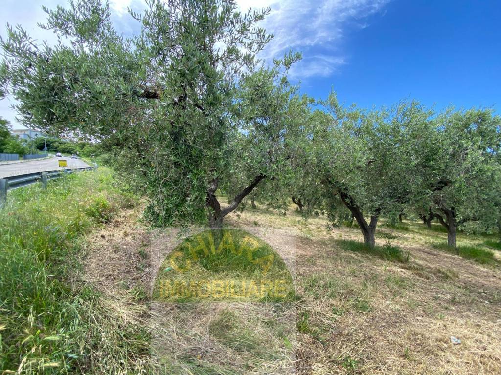 Terreno a Cupello in Contrada Strane - Foto 3