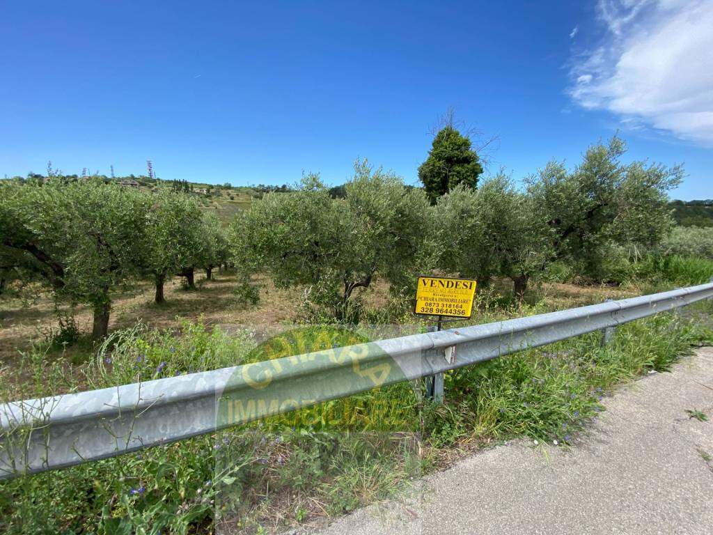 Terreno a Cupello in Contrada Strane - Foto 4