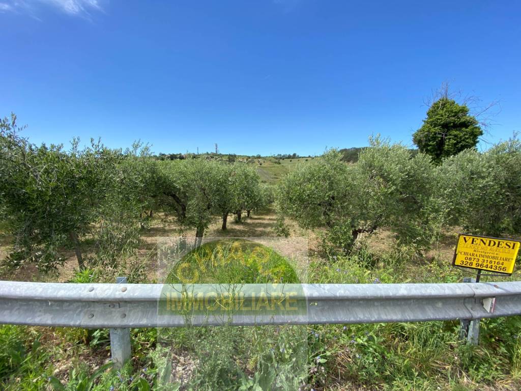 Terreno a Cupello in Contrada Strane - Foto 5