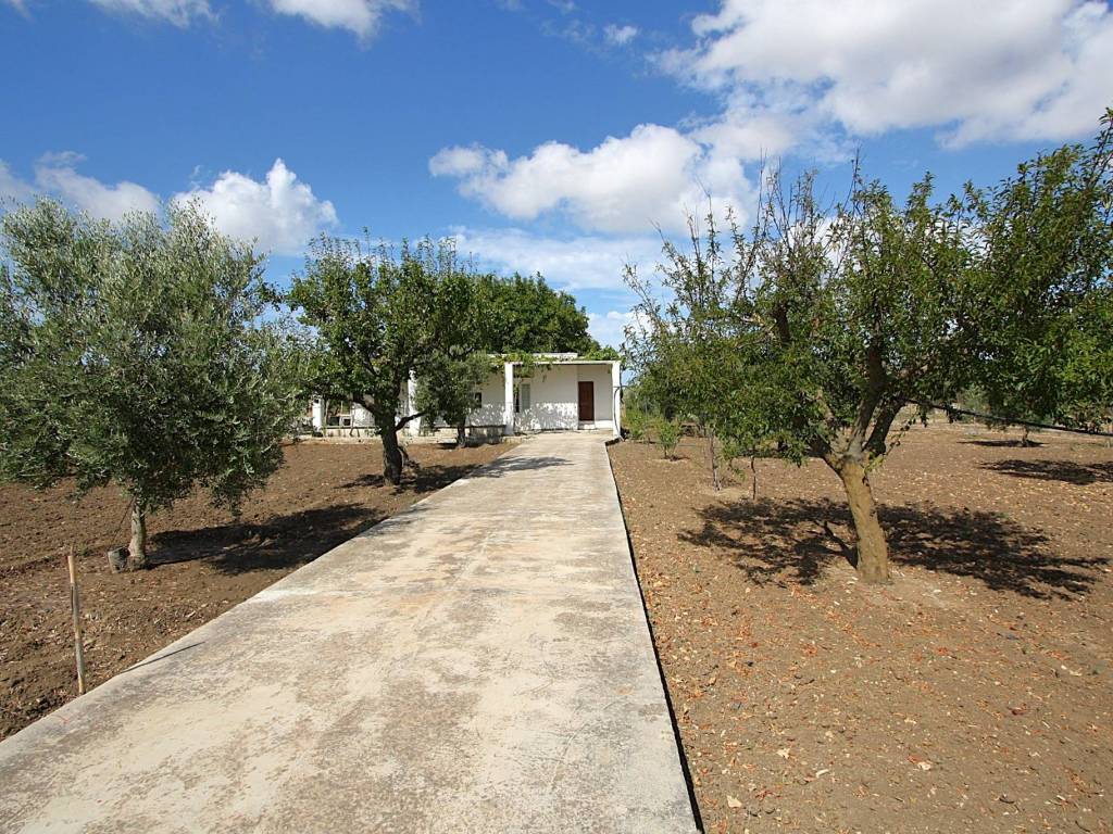 Immobile a Gallipoli in SP223 - Foto 2