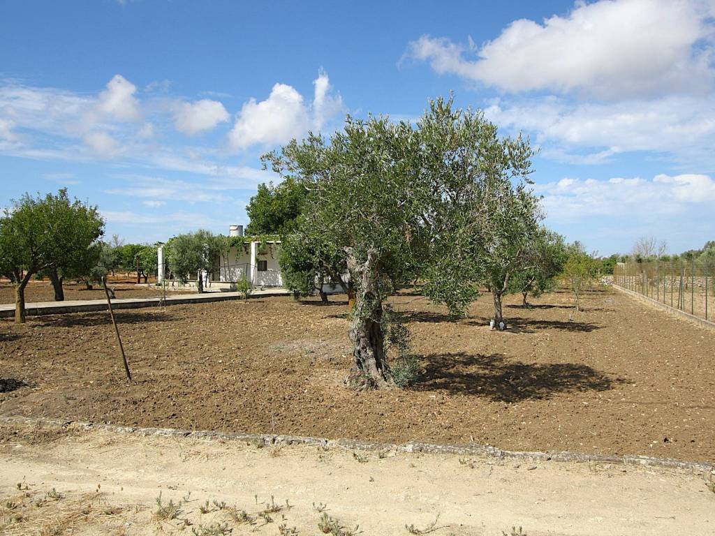 Immobile a Gallipoli in SP223 - Foto 4
