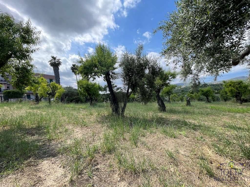 Terreno a Noto in contrada madonna marina - Foto 4