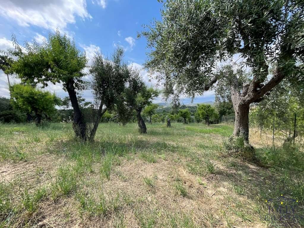 Terreno a Noto in contrada madonna marina - Foto 5