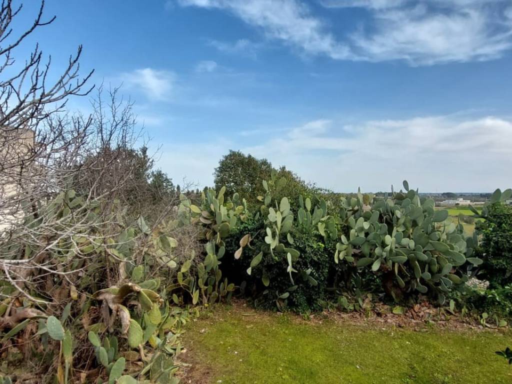 Terreno a Scorrano in Via Nazario Sauro - Foto 3
