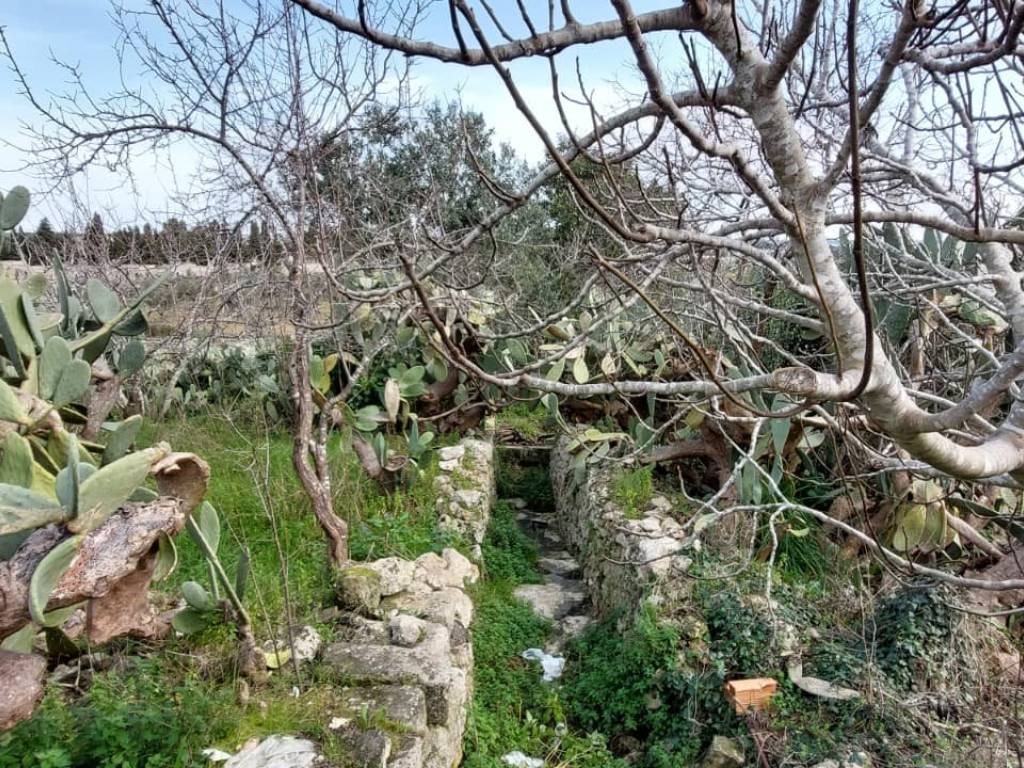 Terreno a Scorrano in Via Nazario Sauro - Foto 4