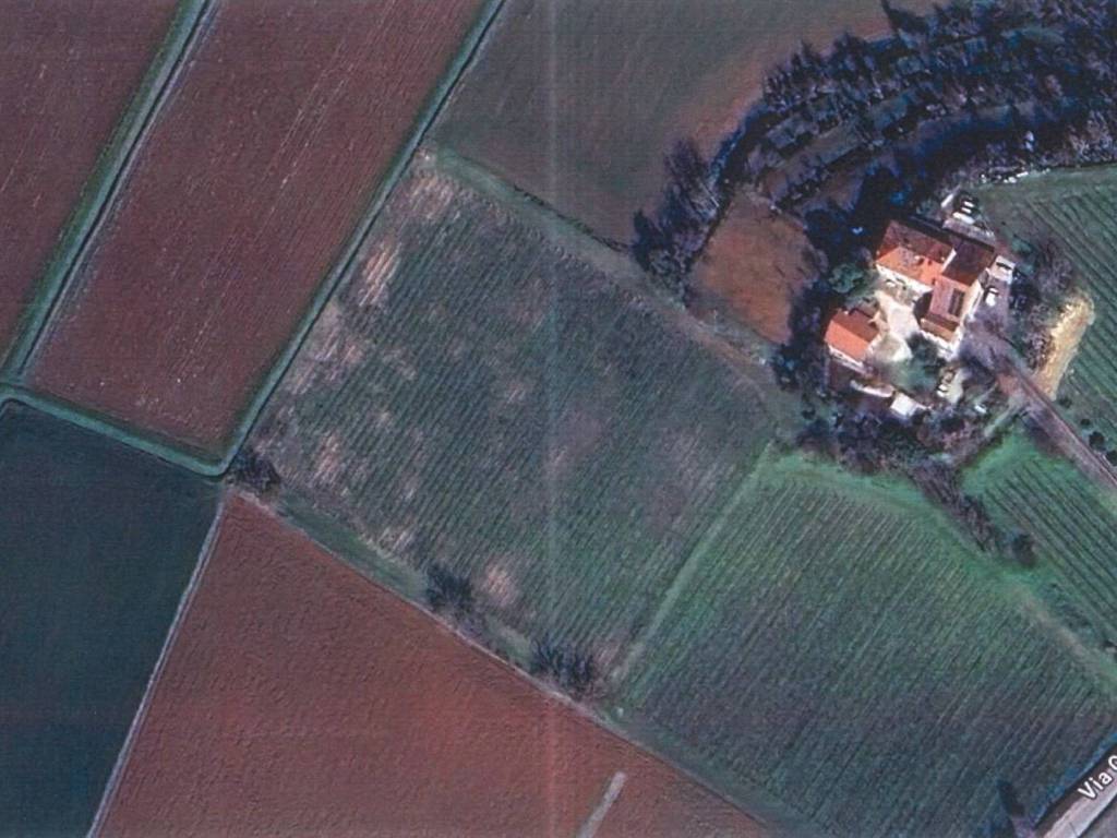 Rustico / casale a Alonte - Foto 3