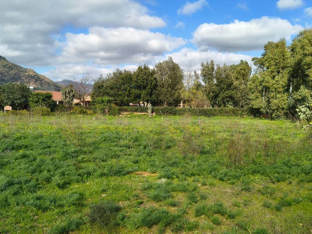 Terreno a San vito - Foto 3