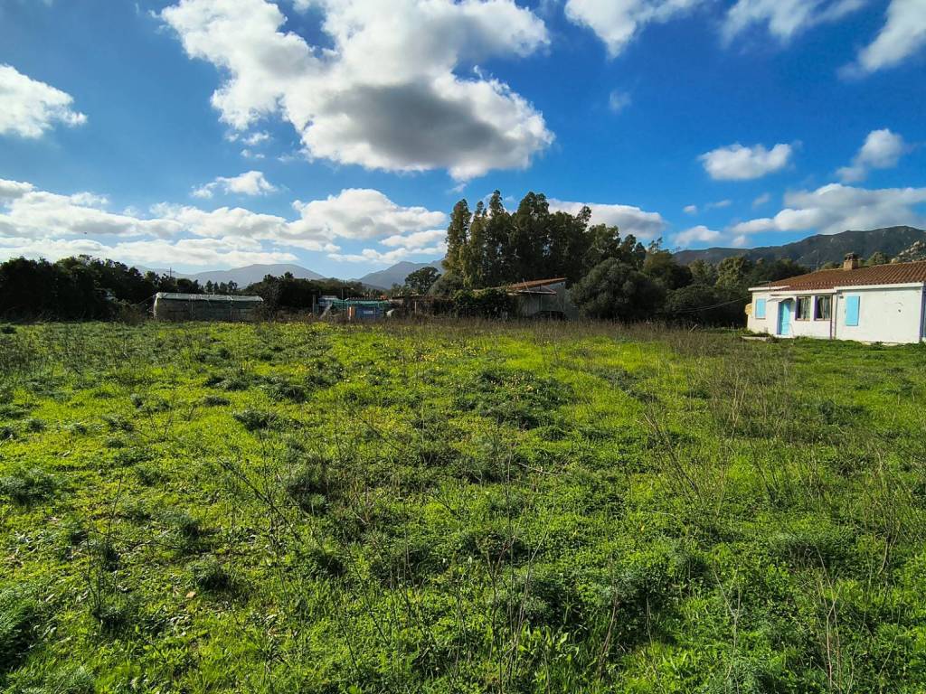 Terreno a San vito - Foto 5