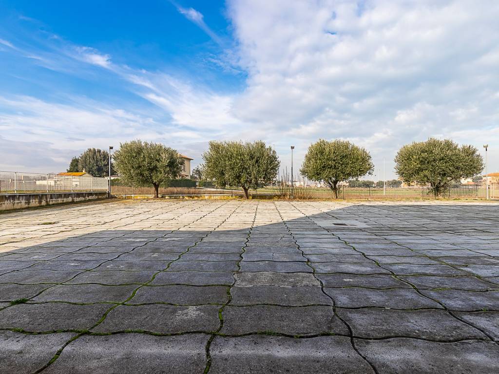 Immobile a Senigallia in Strada della Marina - Foto 2