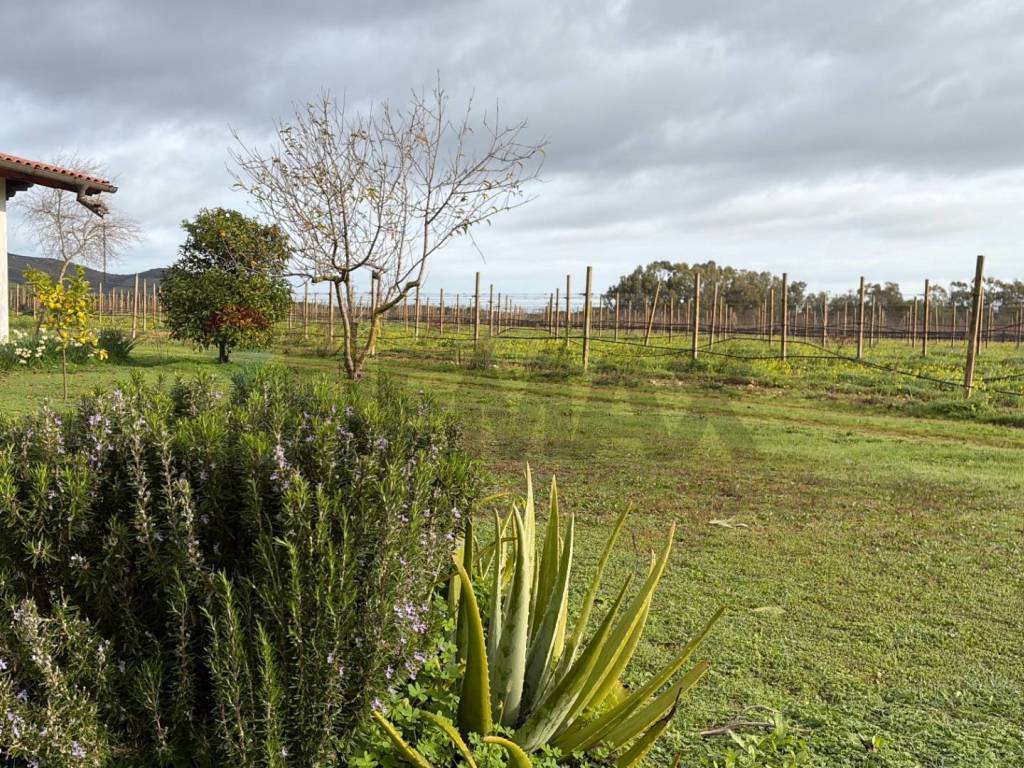 Casa indipendente a Sassari - Foto 4