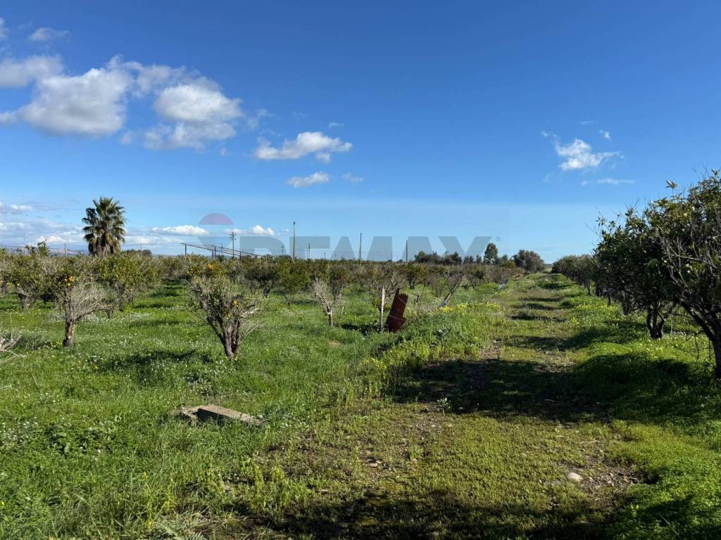 Terreno a Belpasso in Contrada Reina - Foto 4
