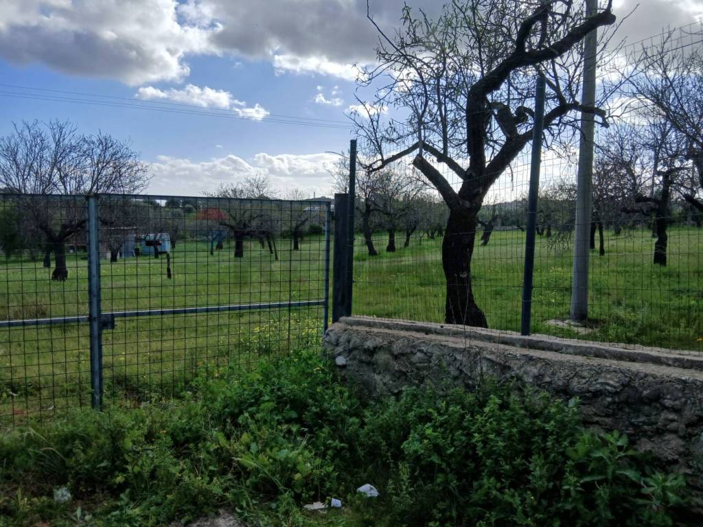 Terreno a Avola in Contrada Bochini Fiumarella - Foto 3