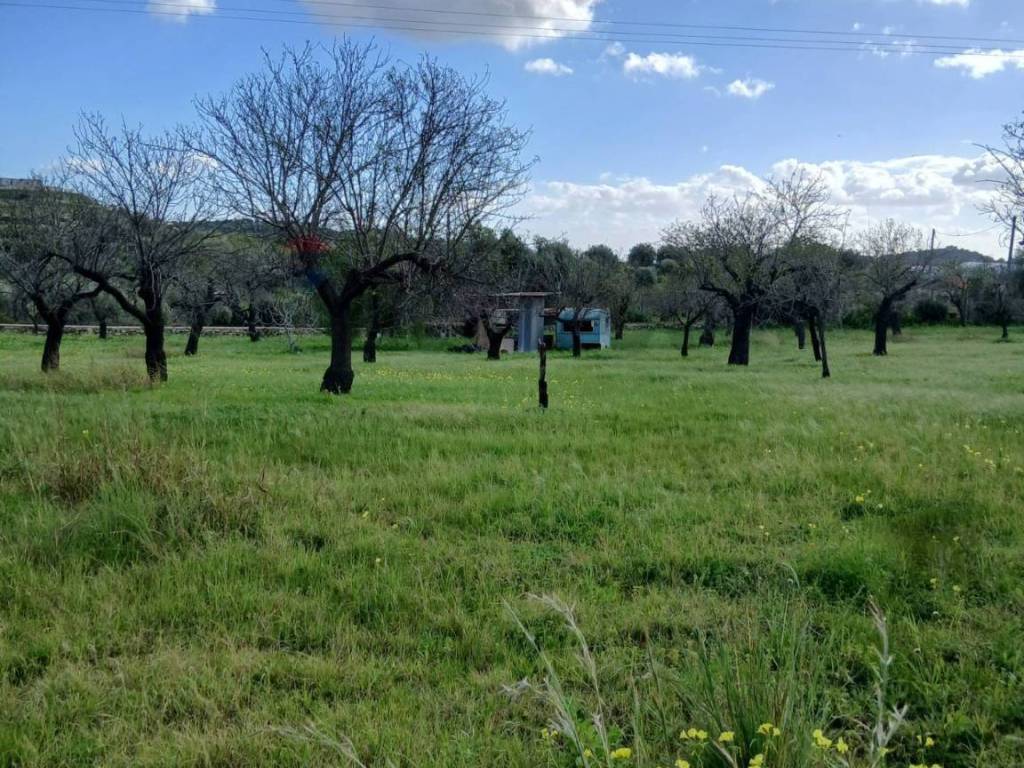 Terreno a Avola in Contrada Bochini Fiumarella - Foto 5