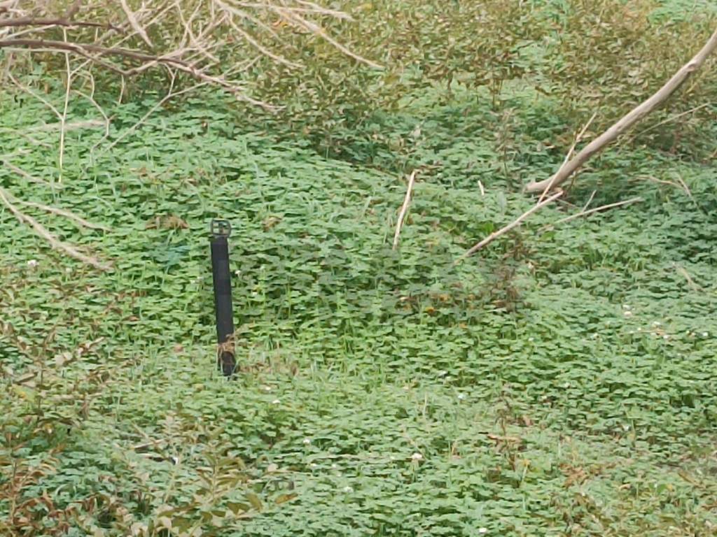 Terreno a Belpasso in contrada Reina - Foto 4