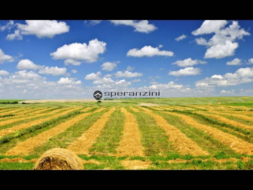 Terreno a Fano in cuccurano , - Foto 5