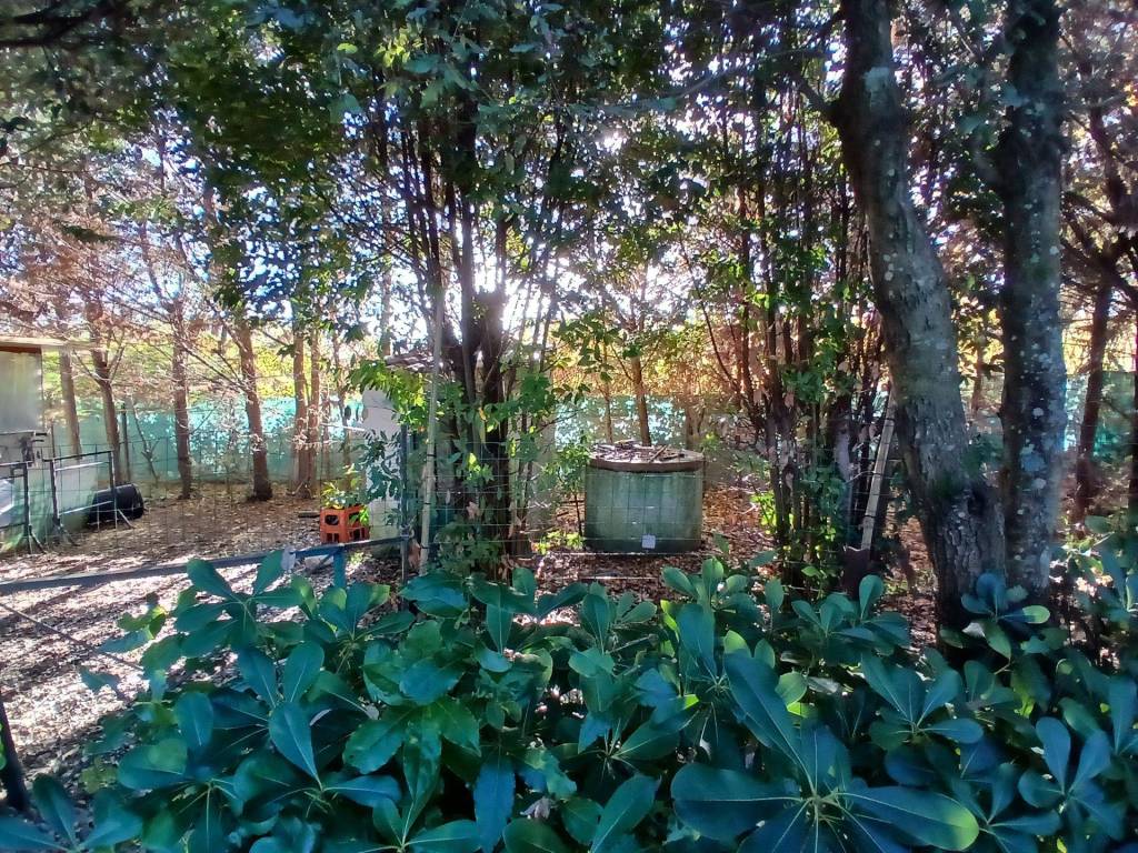 Casa indipendente a Collesalvetti in Via delle Sorgenti, Collesalvetti LI, Italia - Foto 4