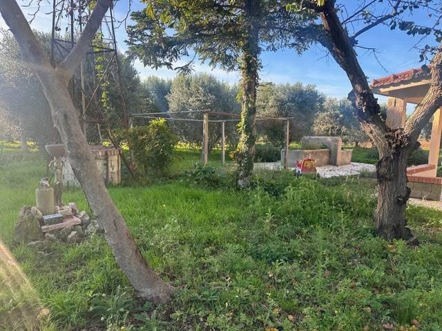 Rustico / casale a Orbetello - Foto 5