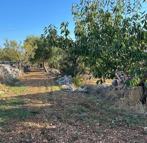 Rustico / casale a Castellana grotte in Strada Comunale Genna - Foto 2