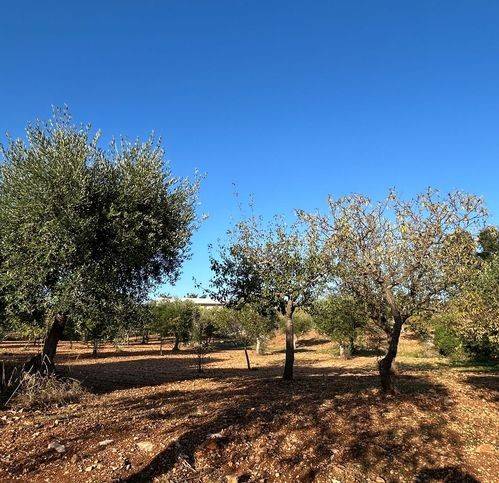 Rustico / casale a Castellana grotte in Strada Comunale Genna - Foto 3