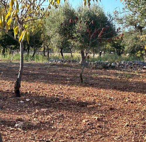 Rustico / casale a Castellana grotte in Strada Comunale Genna - Foto 4