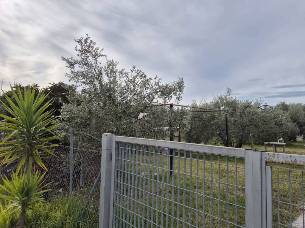 Terreno a Grosseto in via orcagna , snc - Foto 2