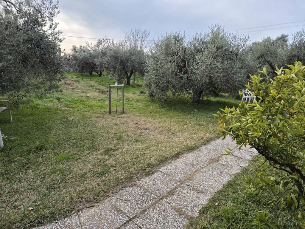 Terreno a Grosseto in via orcagna , snc - Foto 3