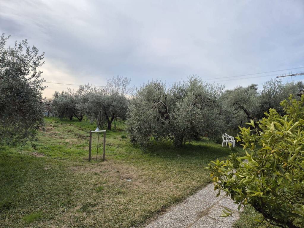 Terreno a Grosseto in via orcagna , snc - Foto 5