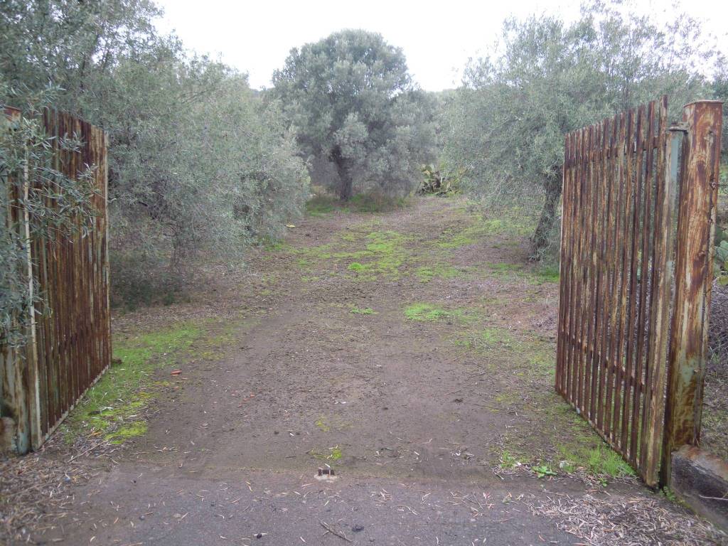 Terreno a Belpasso in Strada Comunale Mulini - Foto 5